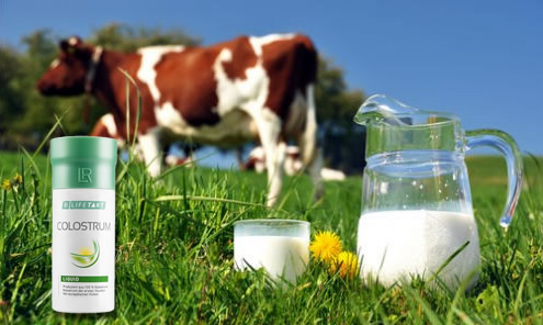 Какво е Коластра (Colostrum) и за какво се използва?  Какво е Коластра (Colostrum) и за какво се използва?