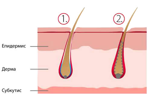 Biotinyl-GHK (специален протеин, съдържащ витамини) подпомага закрепването на корените на косата! Biotinyl-GHK (специален протеин, съдържащ витамини) подпомага закрепването на корените на косата!